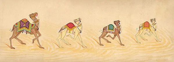March of Camels