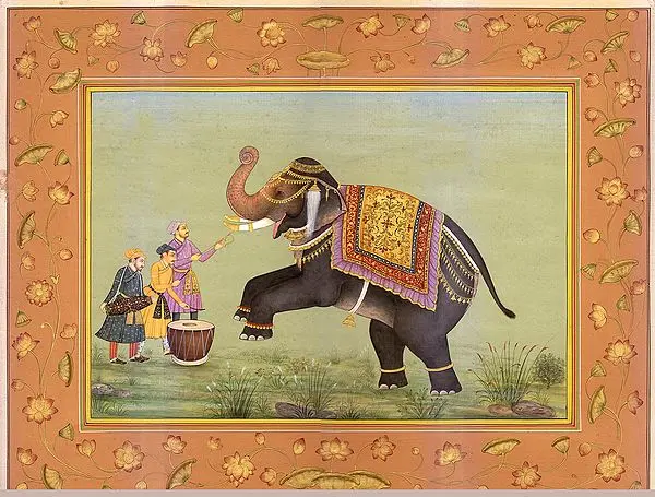 Playing with Elephant