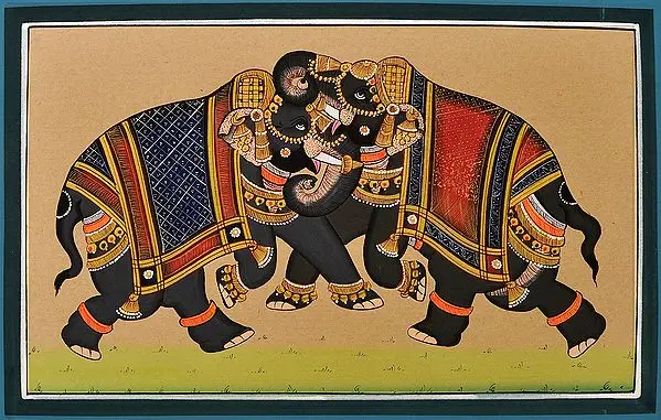 The Elephant Combat