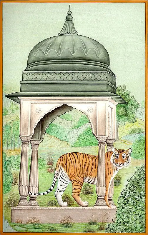 Royal Bengal Tiger