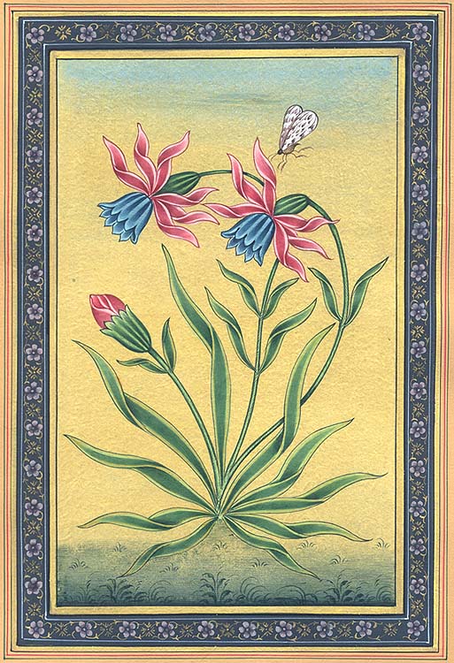 Mughal Flower