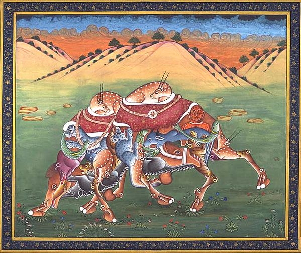 Pashu Kunjar - Composite Camel