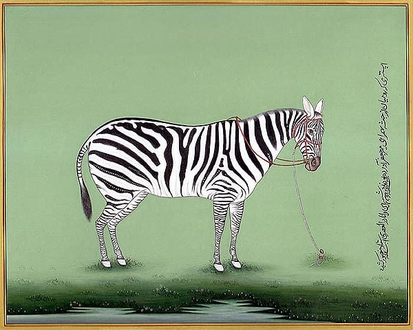 The Likeness of a Zebra