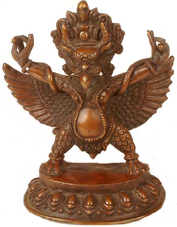 Nepalese Garuda