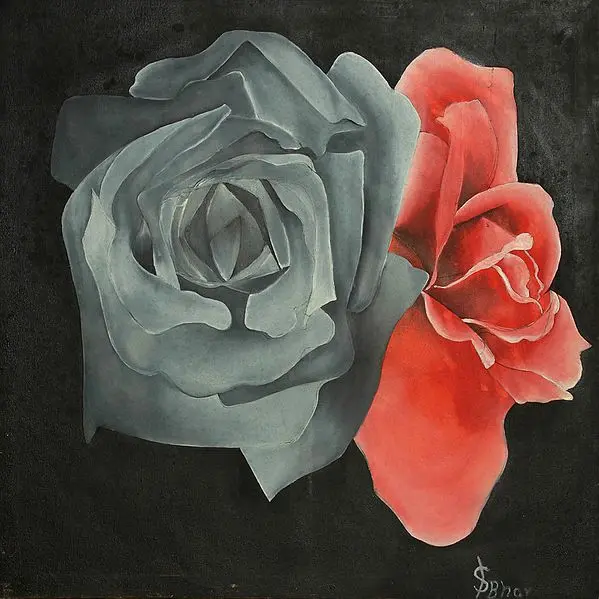 Rose(s)