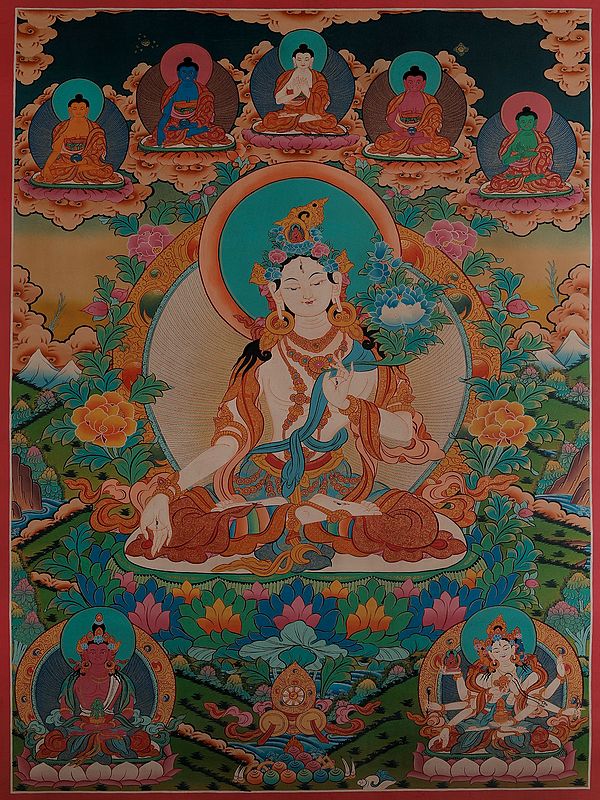 Tibetan Buddhist Deity - Goddess White Tara (Brocadeless Thangka)