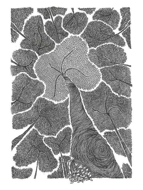 Looking Up - Forest | Ink Art By Shreya Gupta
