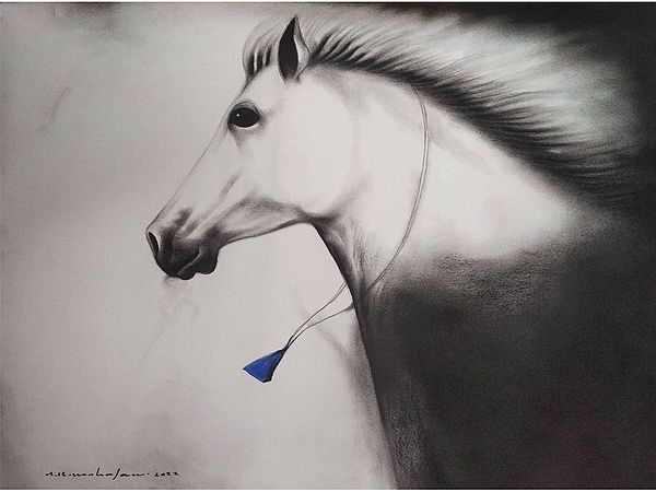 Sharp Glance - Horse Painting | Charcoal on Paper | By Arvind Mahajan