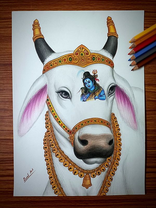Nandi - A Devotee of Shiva | Color Pencil Art by Sunil Kumar
