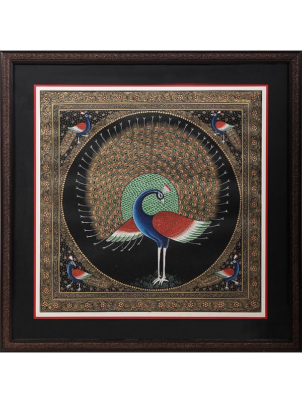 Dancing Peacock With Beautiful Borders | With Frame | Gold Colors On Silk | By Kailash Chandra