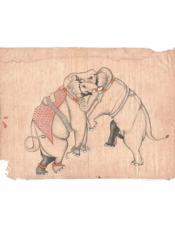 The Elephant Sketch | Natural Pigments On Paper | By Mohammad Waseem