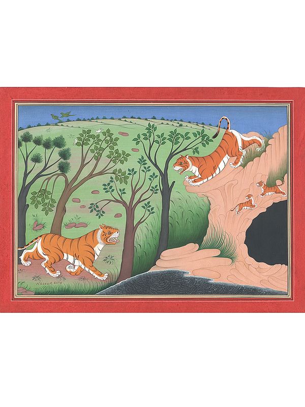 The Tiger Family | Natural Pigments On Paper | By Mohammad Waseem