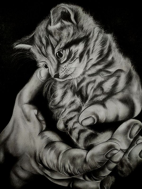 My Cutie Catty - A Bond | Acrylic On Canvas | By Nandini Aggarwal
