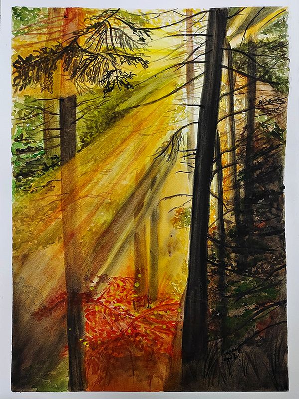 Sunlit Forest | Watercolor On Paper | By Shruti Tiwari