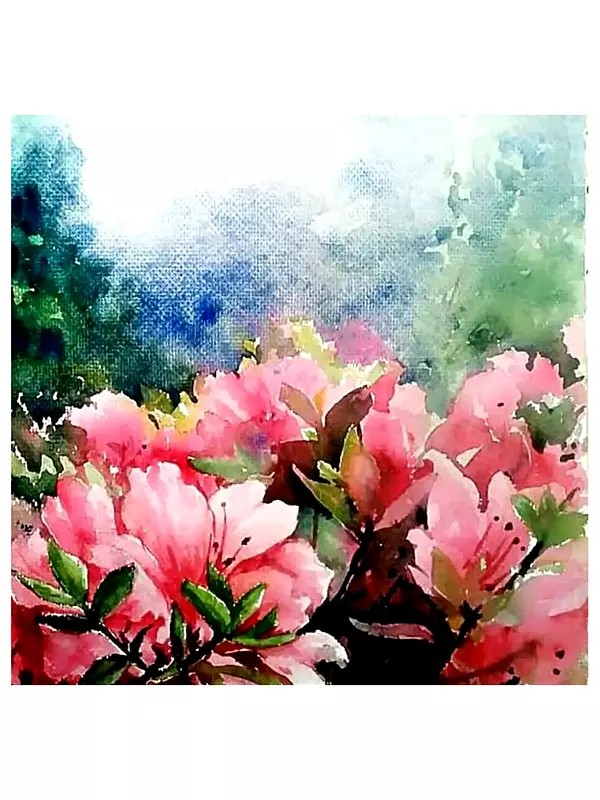 The Beauty of Cherry Blossoms | Water Color on Paper | By Dipa Talukder