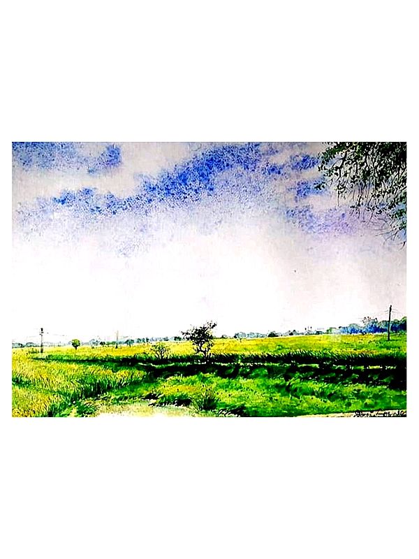 Waving Crop | Water Color On Paper | By Dipa Talukder