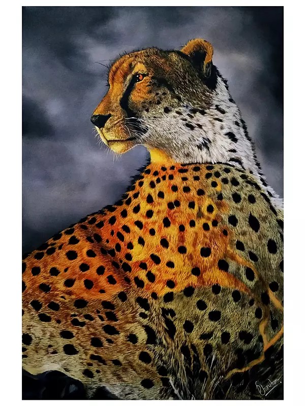 Cheetah Enjoying Sunset  | Acrylic On Canvas | By Deeksha Chauhan
