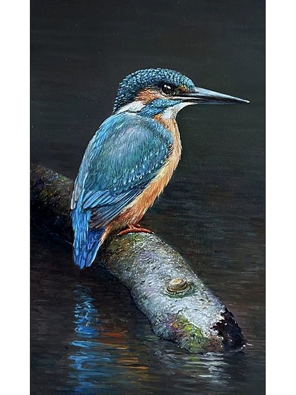 Calm Kingfisher on Branch | Acrylic on Canvas | By Anant Roop Art Studio