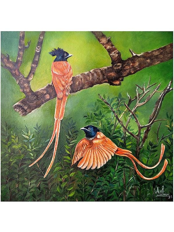 Paradise Flycatcher 

| Oil On Canvas | By Alka Sengar | Without Frame