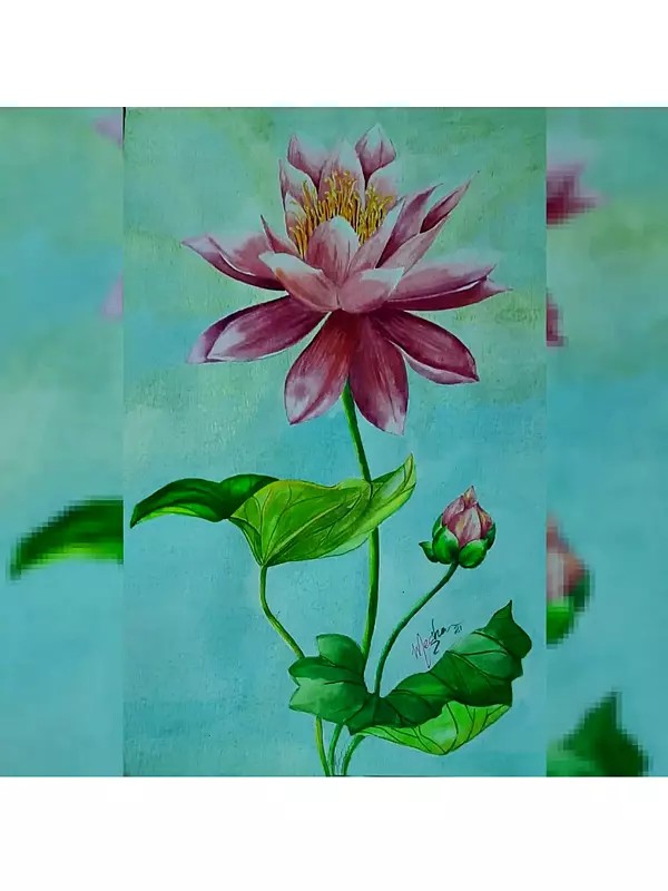 Blooming Pink Lotus | Watercolor on Canson Sheet | By Megha Chakraborty