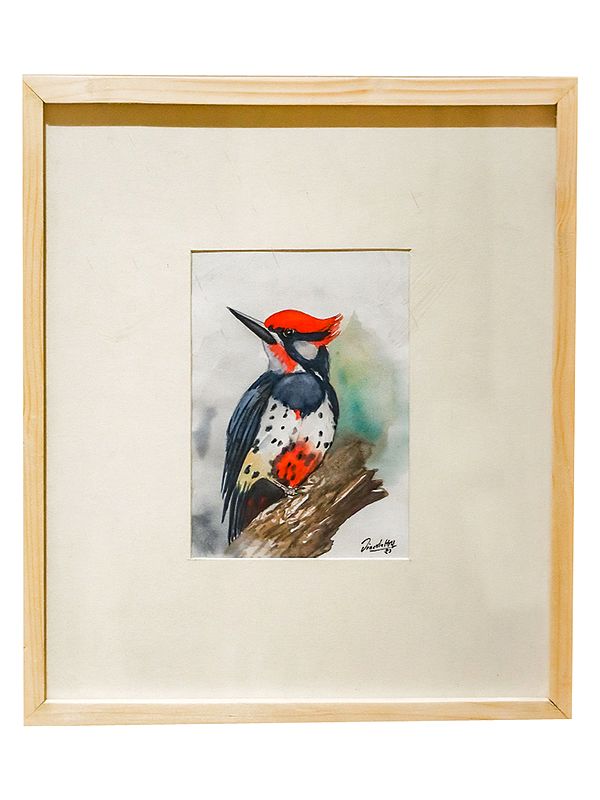 Woodpecker Bird | Acrylic On Paper | By Dinesh Attry | With Frame