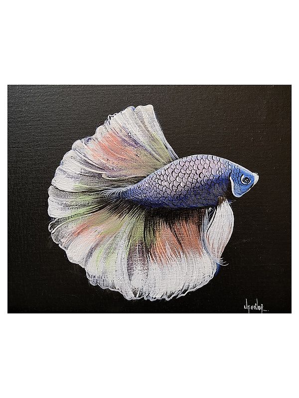 Beautiful Betta Fish | Acrylic on Canvas | Artwork by Shankar