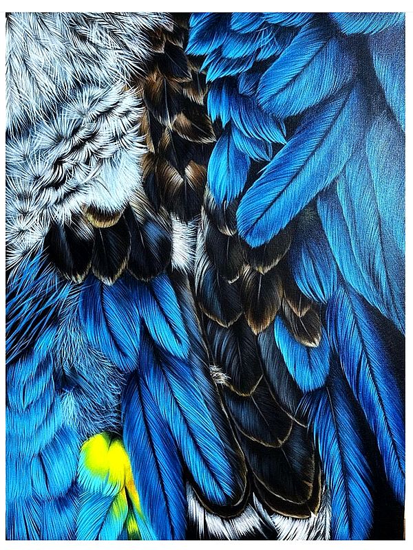 Feathers of Parrot, Owl & Eagle | Painting by Zoya