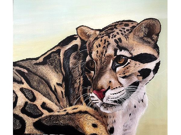 The Gaze (Clouded Leopard) | Painting by Zoya