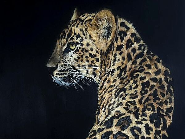 絵画　ラビンドラ(Rabindra)のLEOPARDECO 絵画 ラビンドラ(Rabindra)のLEOPARDECOの通販 by とちのち's