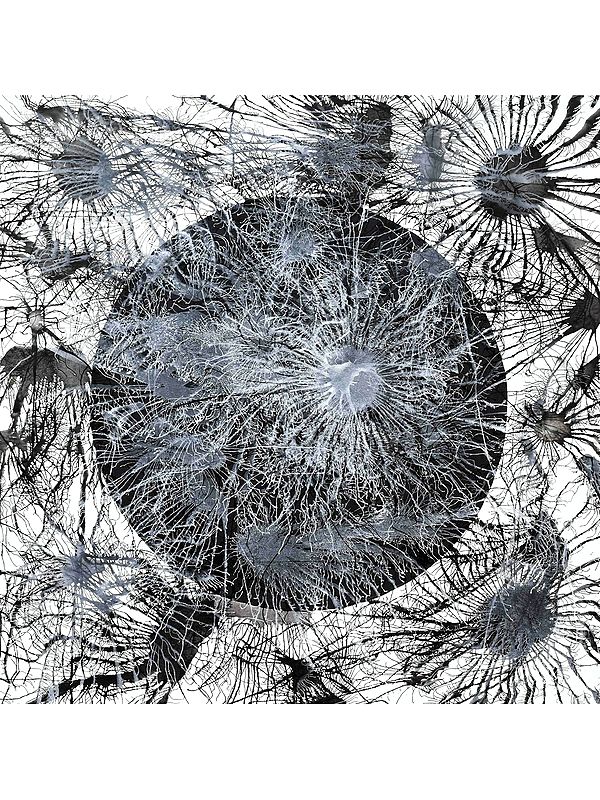 Exploflora Abstract Art | By Sumit Mehndiratta