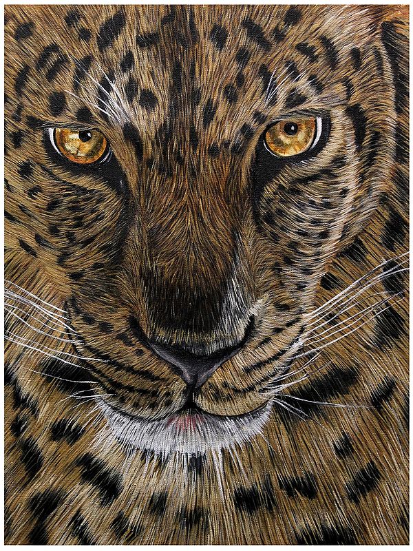 Speaking Eyes - Leopard | Oil on Canvas | By Karthik