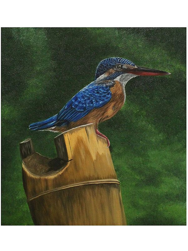 Painting of The Kingfisher Bird | Oil on Canvas | By Karthik