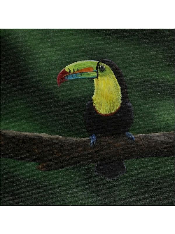 Toucan Do It | Oil on Canvas | By Karthik