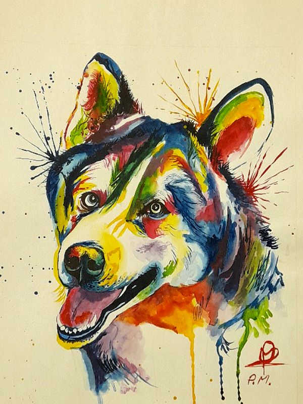 Smiling Huskey - The Loved Pet | Painting by Pragga Majumder
