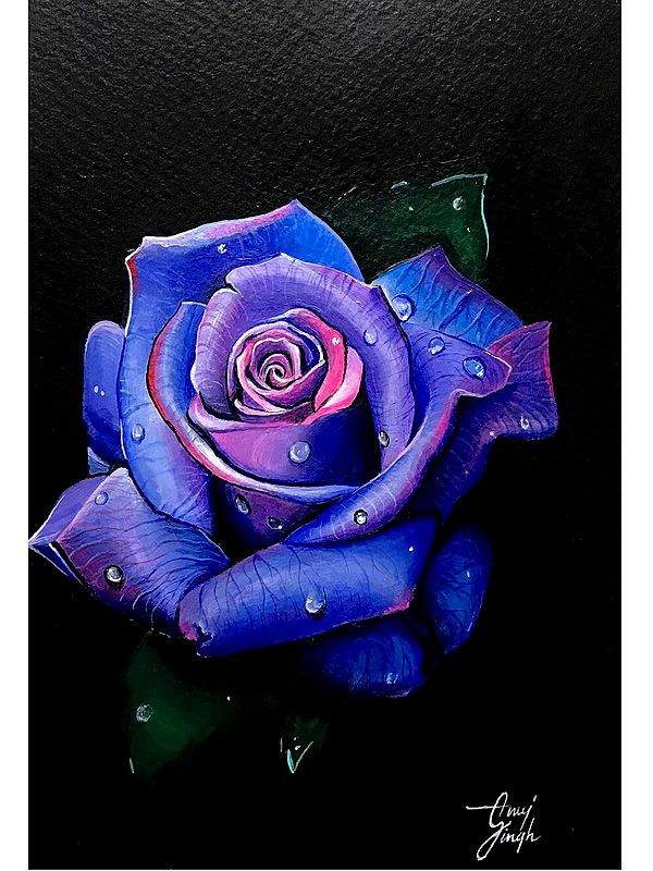 Beautiful Rose With Droplets | Acrylic On Paper