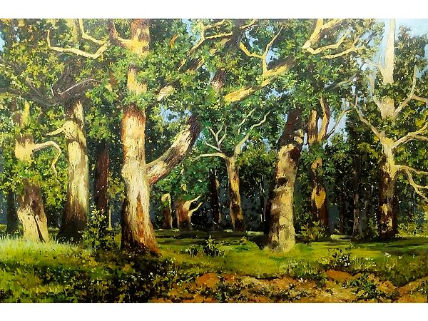 Morning Sunlight On Trees | Oil On Canvas