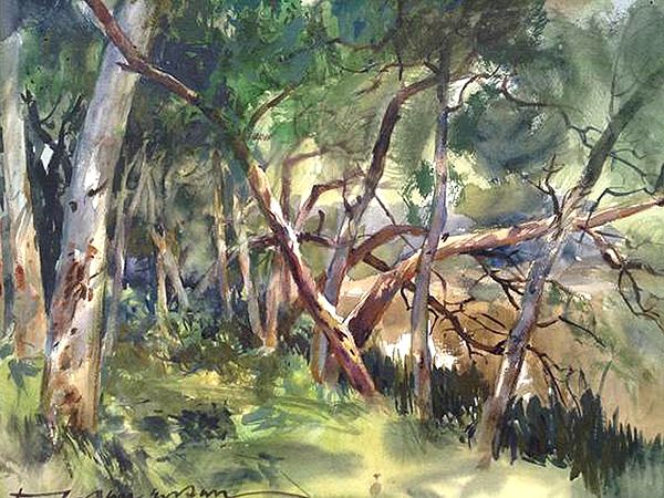 Dense Forest Landscape | Loose Watercolour Painting | By Madhusudan Das