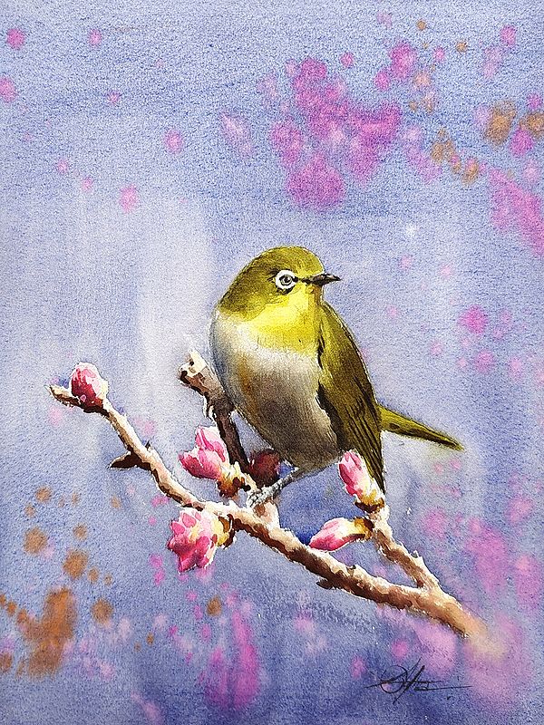 Bird and the Blossom Twig | Loose Watercolor Painting | By Achintya Hazra