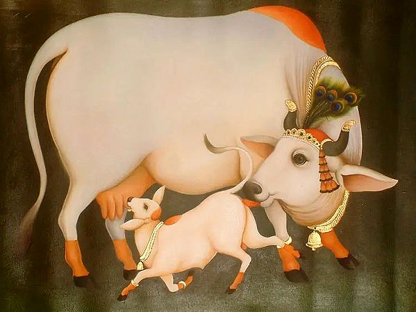 Krishna's Cow