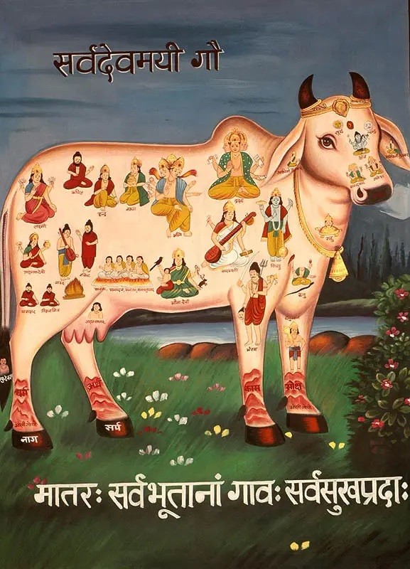 The Divine Cow