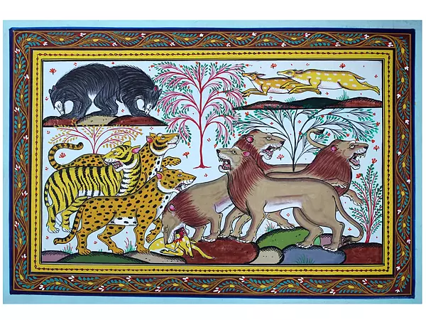 Animals in The Wild