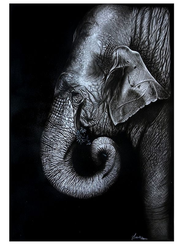 Elephant in The Dark | Charcoal on Sheet | Painting By Sanchita Agrahari