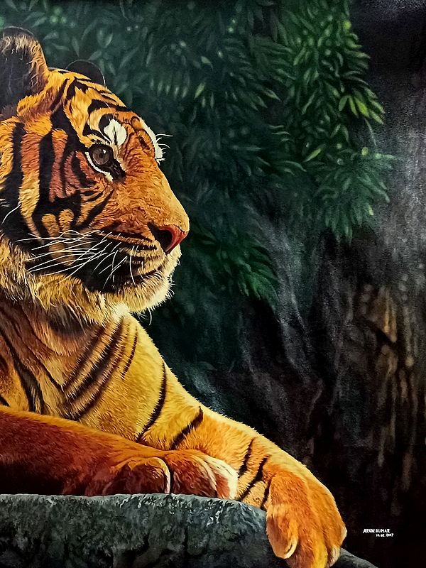 Royal Bengal Tiger | Oil Painting on Canvas by Arun Kumar | Exotic ...