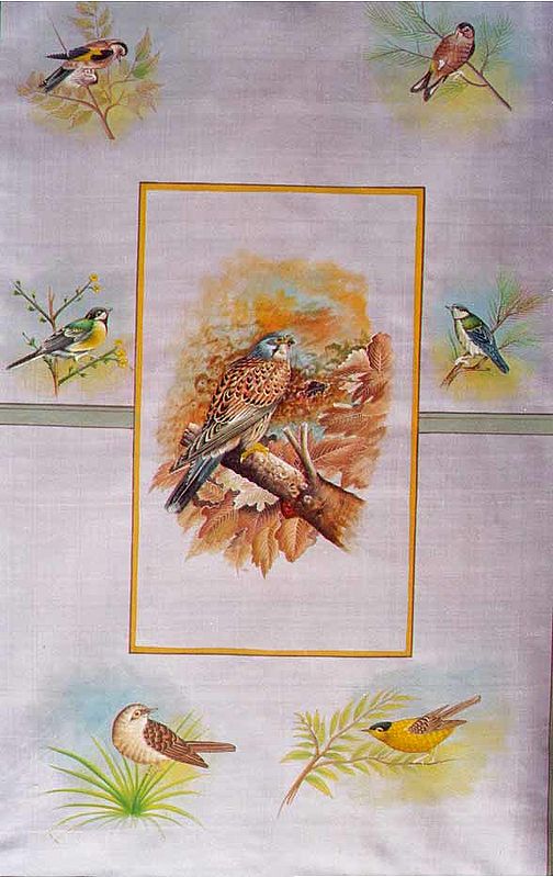 Birds - Kestrel