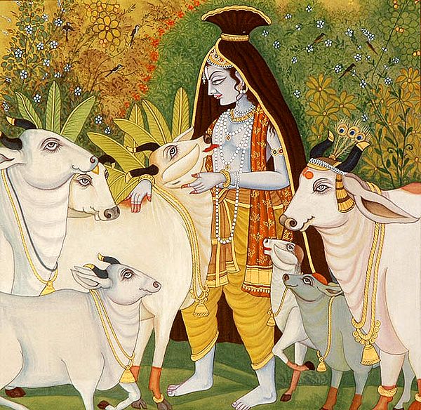 Gopala Krishna - The Protector of The Cows