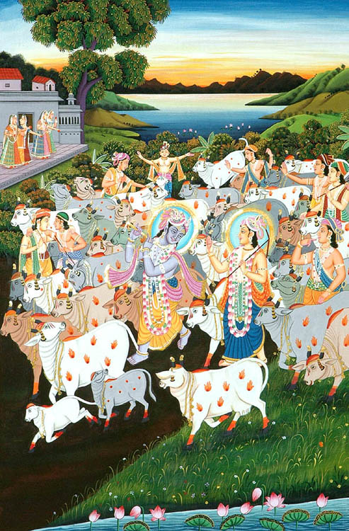 Krishna - The Lover of Cows