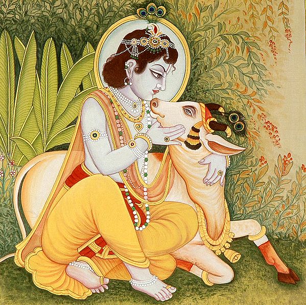 Krishna The Lover of Cows
