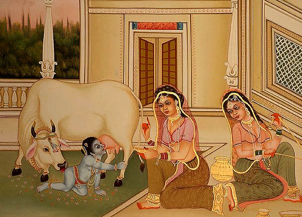 Krishna's Cow Feeds Him Milk