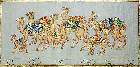 Procession of a Camel Family