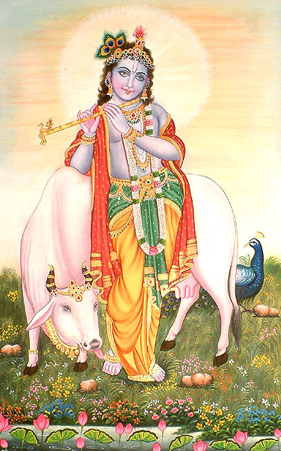 Krishna as Shyama Sundar